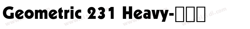 Geometric 231 Heavy字体转换